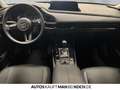 Mazda CX-30 2.0 SKYACTIV-G M Hy. Exclusive AT Navi ACC Grau - thumbnail 9