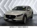 Mazda CX-30 2.0 SKYACTIV-G M Hy. Exclusive AT Navi ACC Grau - thumbnail 3