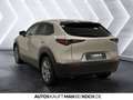 Mazda CX-30 2.0 SKYACTIV-G M Hy. Exclusive AT Navi ACC Серый - thumbnail 3