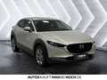 Mazda CX-30 2.0 SKYACTIV-G M Hy. Exclusive AT Navi ACC Grau - thumbnail 6