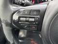 Kia Sorento Platinum Edition 4WD Grau - thumbnail 21