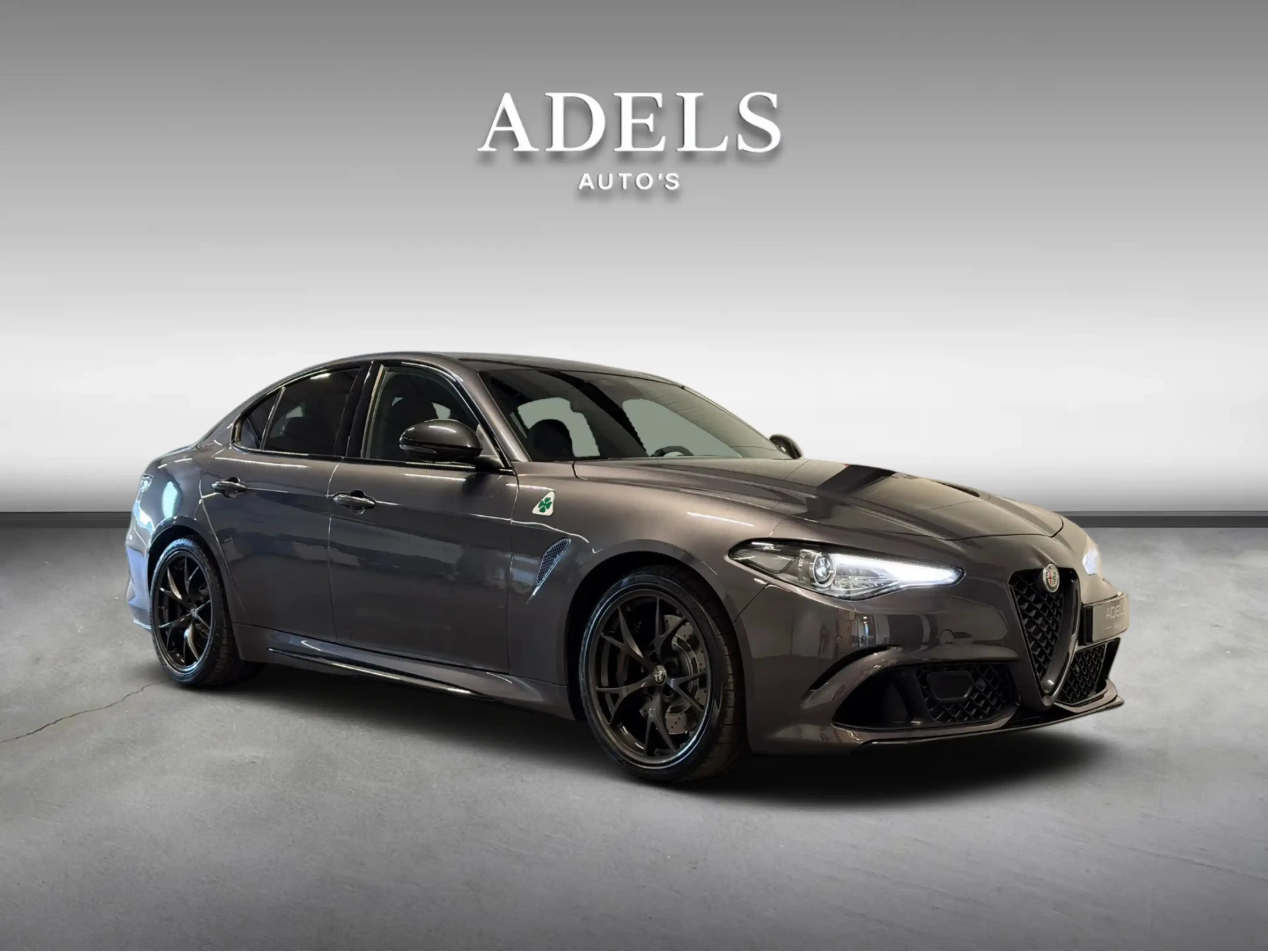 Alfa Romeo Giulia 2.9 V6 Quadrifoglio Facelift MY2021 Dealer Onderho — photo 4