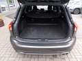 Ford Focus ST-Line 1.5 EcoBoost Grau - thumbnail 8