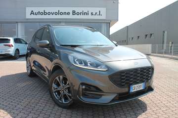 Kuga 1.5 EcoBlue 120 CV aut. 2WD ST-Line