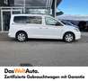 Volkswagen Caddy Maxi TDI 4MOTION Weiß - thumbnail 8