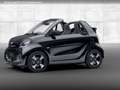 smart forTwo EQ 60kWed passion SHZ PDC+Kamera Ambiente Zwart - thumbnail 3