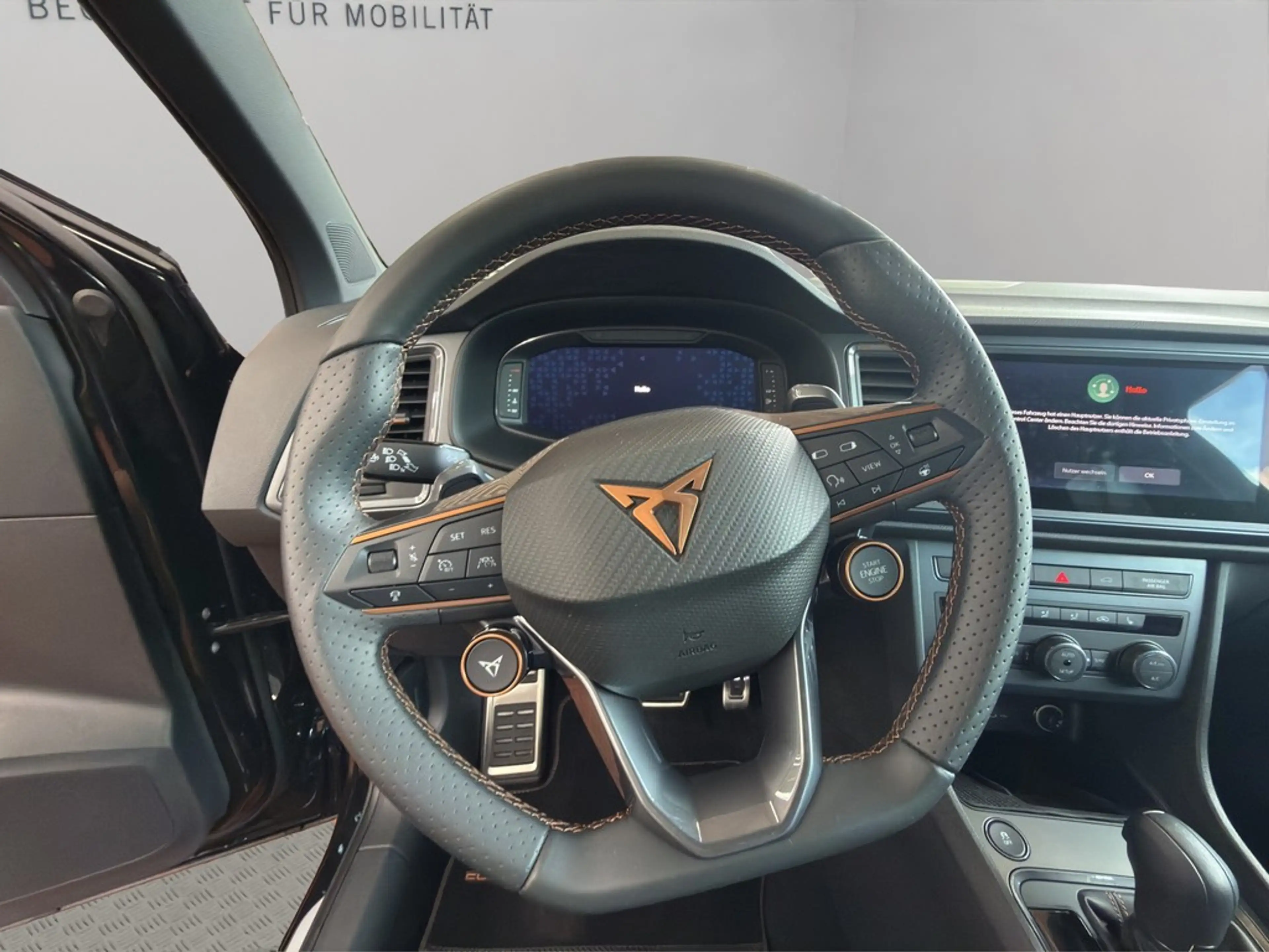 CUPRA Ateca 4x4 TSI DSG Navi AHK AreaView — photo 12