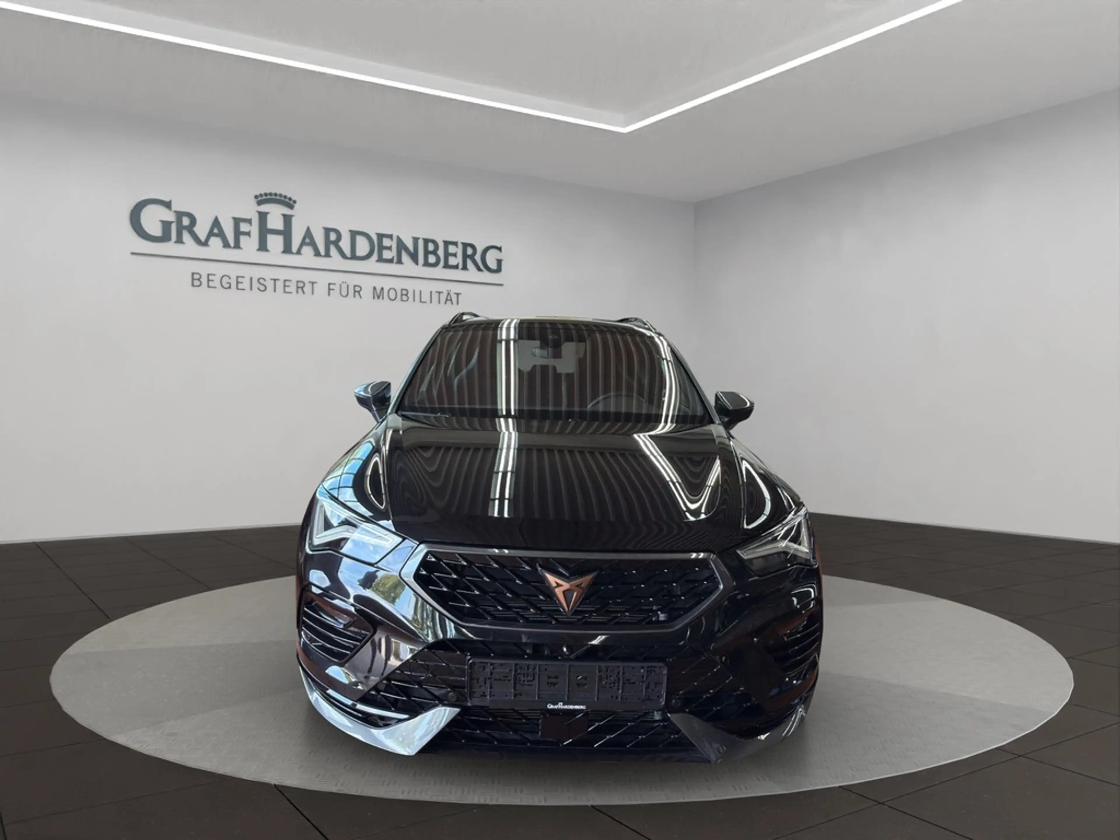 CUPRA Ateca 4x4 TSI DSG Navi AHK AreaView — photo 9