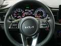Kia Ceed / cee'd 1.5 T-GDI 48V DCT7 Ultimate! Style & JBL Weiß - thumbnail 17