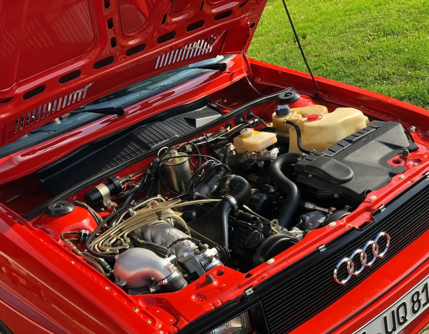 Audi QUATTRO Top restauriert - 1