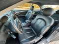 Mercedes-Benz CLK 270 Coupe cdi Elegance Comand Edition - thumbnail 3