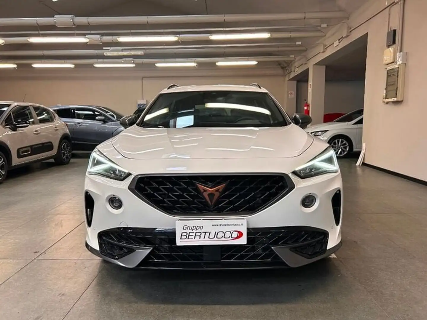CUPRA Formentor 1.5 TSI DSG Bianco - 2