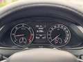 Skoda Superb Wagon 1.6 tdi Executive dsg CINGHIA DISTR. NUOVA Grau - thumbnail 11