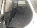 Kia Sorento 2.2 CRDi 4WD VAN ExecutiveLine Limited Automaat Gr Wit - thumbnail 24