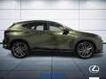 Lexus NX 200t 2.5 plug-in Luxury 4wd e-cvt Verde - thumbnail 5