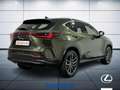 Lexus NX 200t 2.5 plug-in Luxury 4wd e-cvt Verde - thumbnail 6