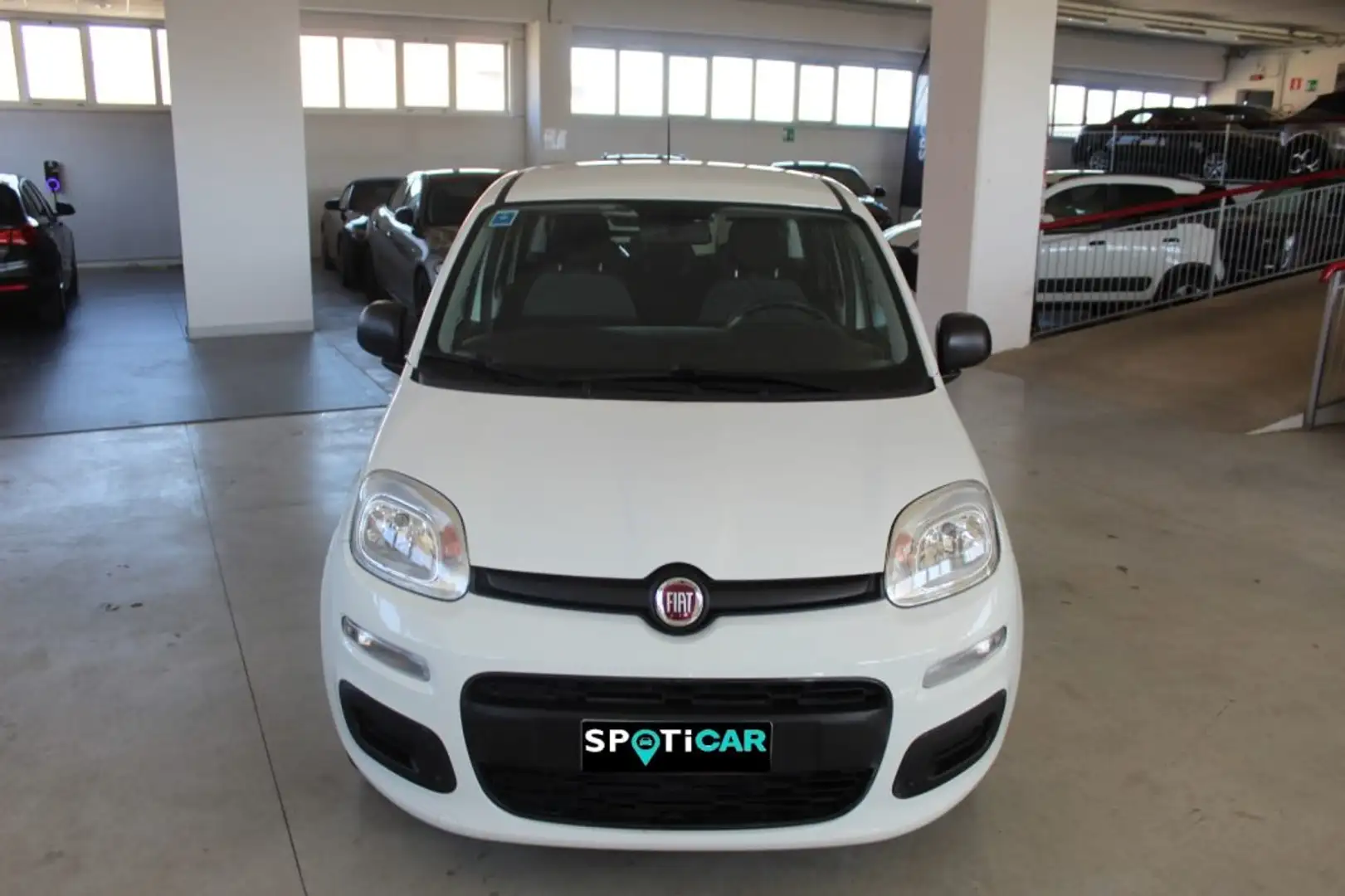Fiat Panda 1.0 FireFly S&S Hybrid Bianco - 2