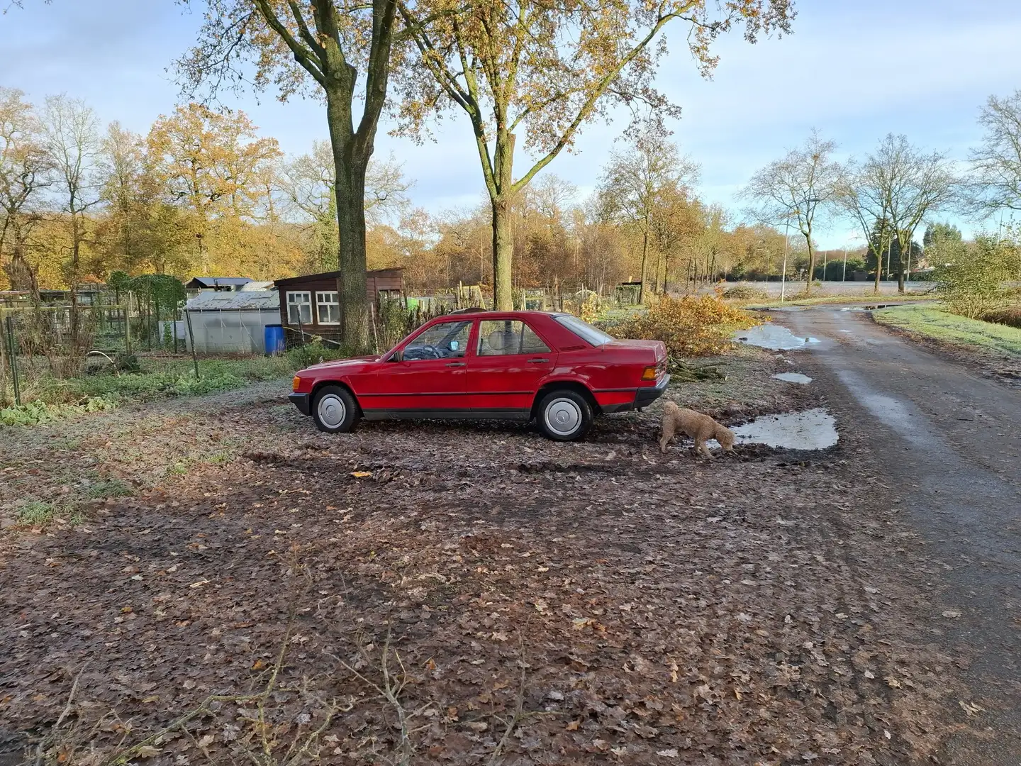 Mercedes-Benz 190 190 2.0 Rood - 2