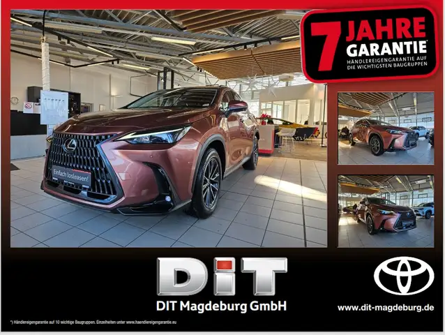Lexus NX 350h Executive Line Inter.- und Tech.-Paket