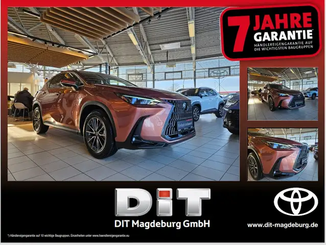 Lexus NX 350h Executive Line Inter.- und Tech.-Paket