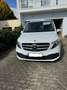 Mercedes-Benz V 250 d lang 9GTRONIC Edi, Burm, Stdhzg., 8Fach bereift Alb - thumbnail 2