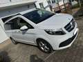 Mercedes-Benz V 250 d lang 9GTRONIC Edi, Burm, Stdhzg., 8Fach bereift Alb - thumbnail 1