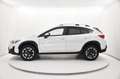 Subaru XV 1.6i Style lineartronic Bianco - thumbnail 3