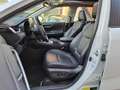 Toyota RAV 4 2.5 HYBRID AWD EXECUTIVE JBL-AUDIO PANORAMISCH SCH Weiß - thumbnail 8
