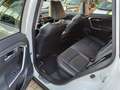 Toyota RAV 4 2.5 HYBRID AWD EXECUTIVE JBL-AUDIO PANORAMISCH SCH Weiß - thumbnail 20