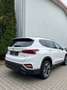 Hyundai SANTA FE Premium 4WD Bianco - thumbnail 3