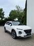 Hyundai SANTA FE Premium 4WD Bianco - thumbnail 1