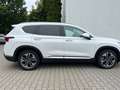 Hyundai SANTA FE Premium 4WD Bianco - thumbnail 2