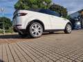 Land Rover Range Rover Evoque Rove Convertible 2.0TD4 HSE Dynamic 4WD 180 Aut Blanco - thumbnail 31