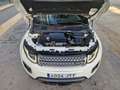 Land Rover Range Rover Evoque Rove Convertible 2.0TD4 HSE Dynamic 4WD 180 Aut Blanco - thumbnail 21