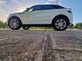 Land Rover Range Rover Evoque Rove Convertible 2.0TD4 HSE Dynamic 4WD 180 Aut Blanco - thumbnail 27