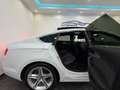 Audi A5 2,0 TDI quattro 3xS-Line, PANO,VIRTUAL, LED+XEN... Weiß - thumbnail 42