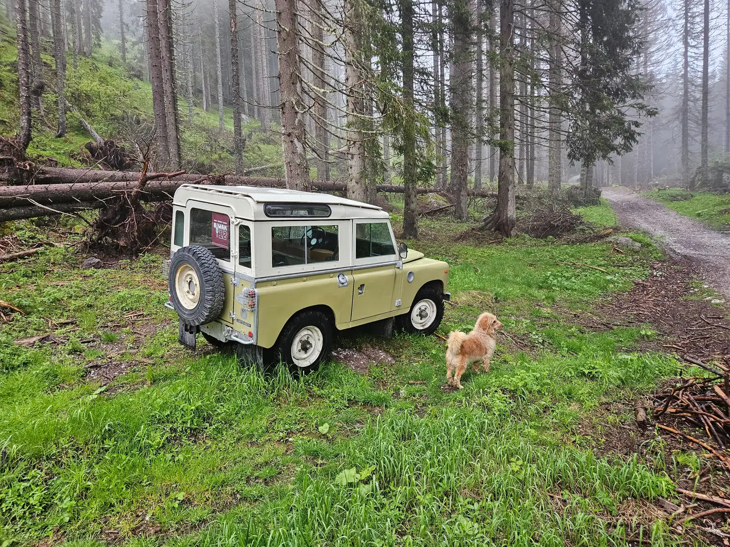 Land Rover Series 3 Italian limited Edition Geel - 2