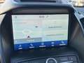 Ford Kuga Kuga 1.5 TDCI 120 CV S&S 2WD Powershift Business Argent - thumbnail 15