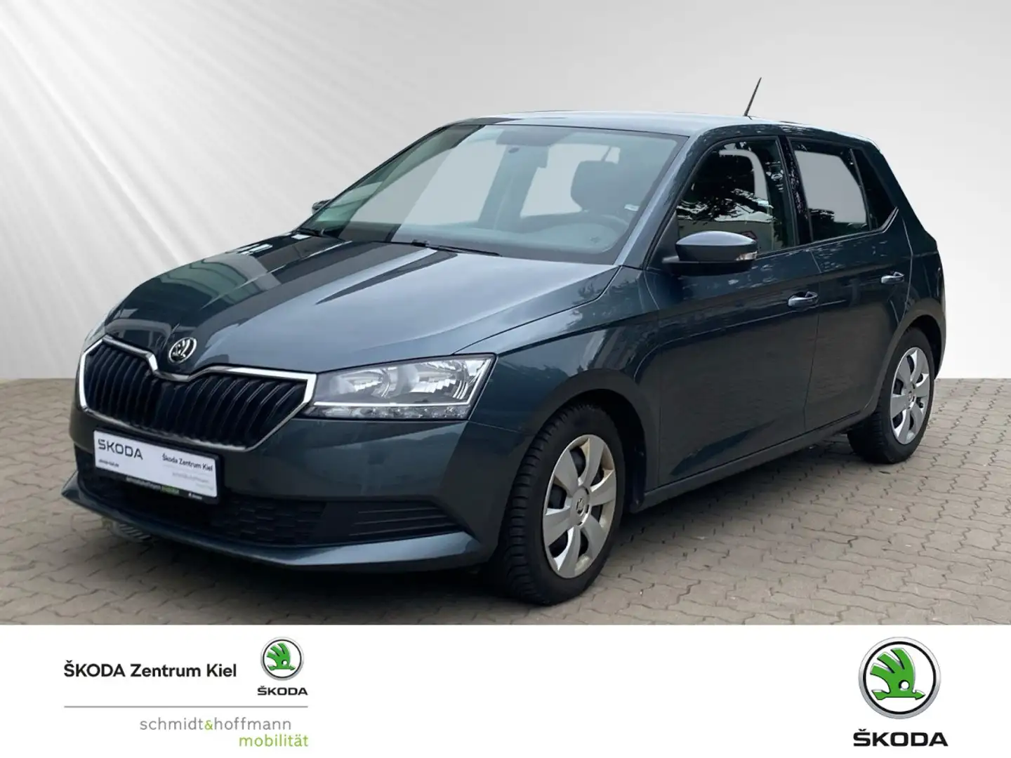 Skoda Fabia 1.0 TSI Cool Plus OPF (EURO 6d) Klima Fenster el. Grau - 1