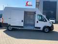 Fiat Ducato L4H3 Mehrfach Vorhanden Klimaautomatik Rückfa - thumbnail 20