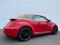 Volkswagen Beetle Cabrio Sport *AUTOMATIK *NAVI *XENON*PDC* Rosso - thumbnail 6