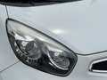 Kia Picanto 1.2 CVVT ISG Plus Pack 106.000 km NL-AUTO-NAP. Weiß - thumbnail 37