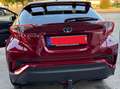 Toyota C-HR HSD Club Rot - thumbnail 1