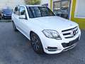 Mercedes-Benz GLK 200 CDI BlueEfficiency Bílá - thumbnail 4