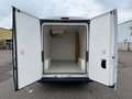 Fiat Ducato*Carrier Xarios 350*Klima*Kühlkasten* Weiß - thumbnail 5