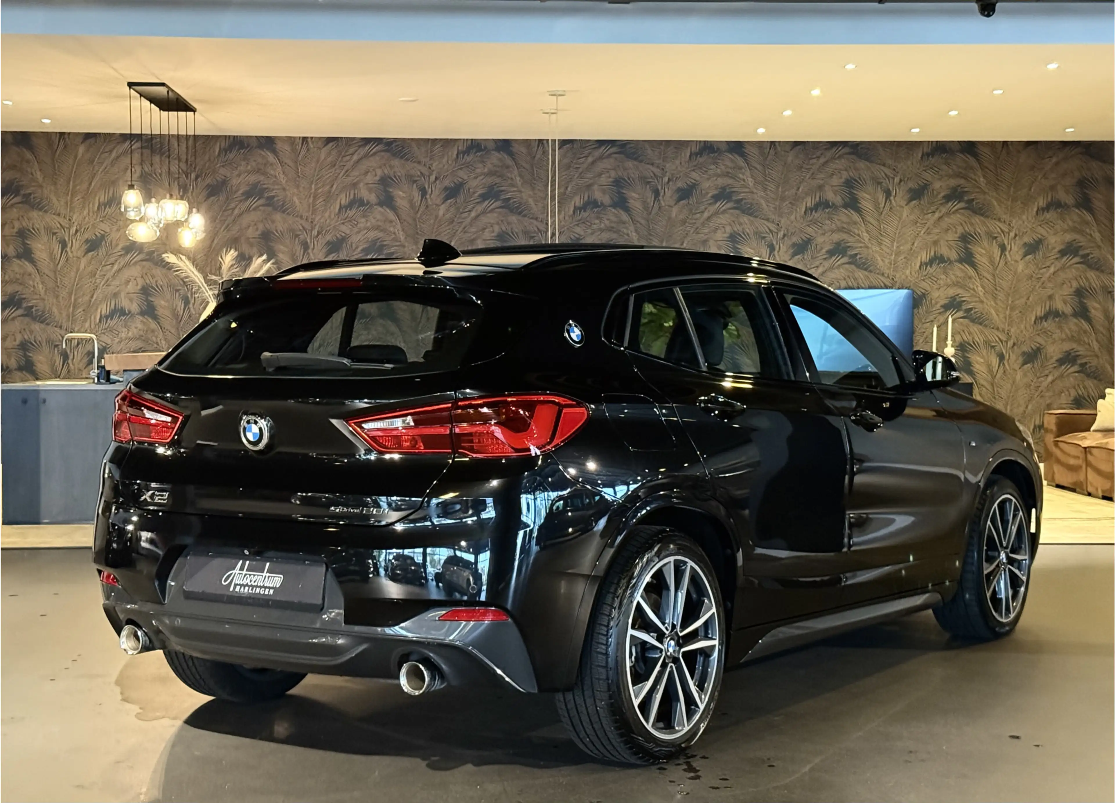 BMW X2 sDrive20i High Exe I M-Pakket I Pano — photo 5