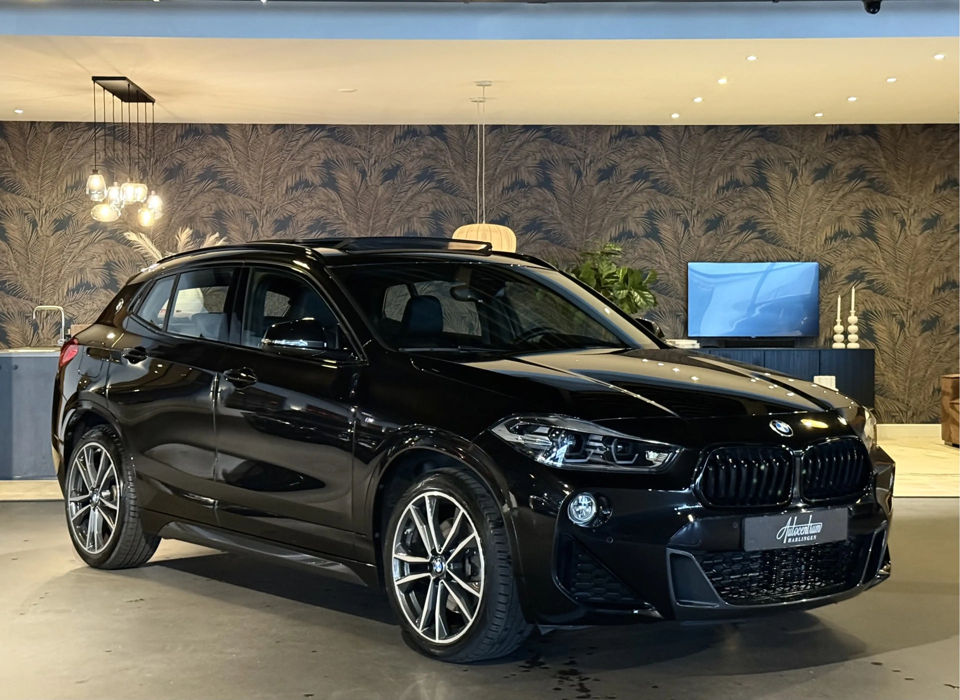 BMW X2 sDrive20i High Exe I M-Pakket I Pano — photo 7