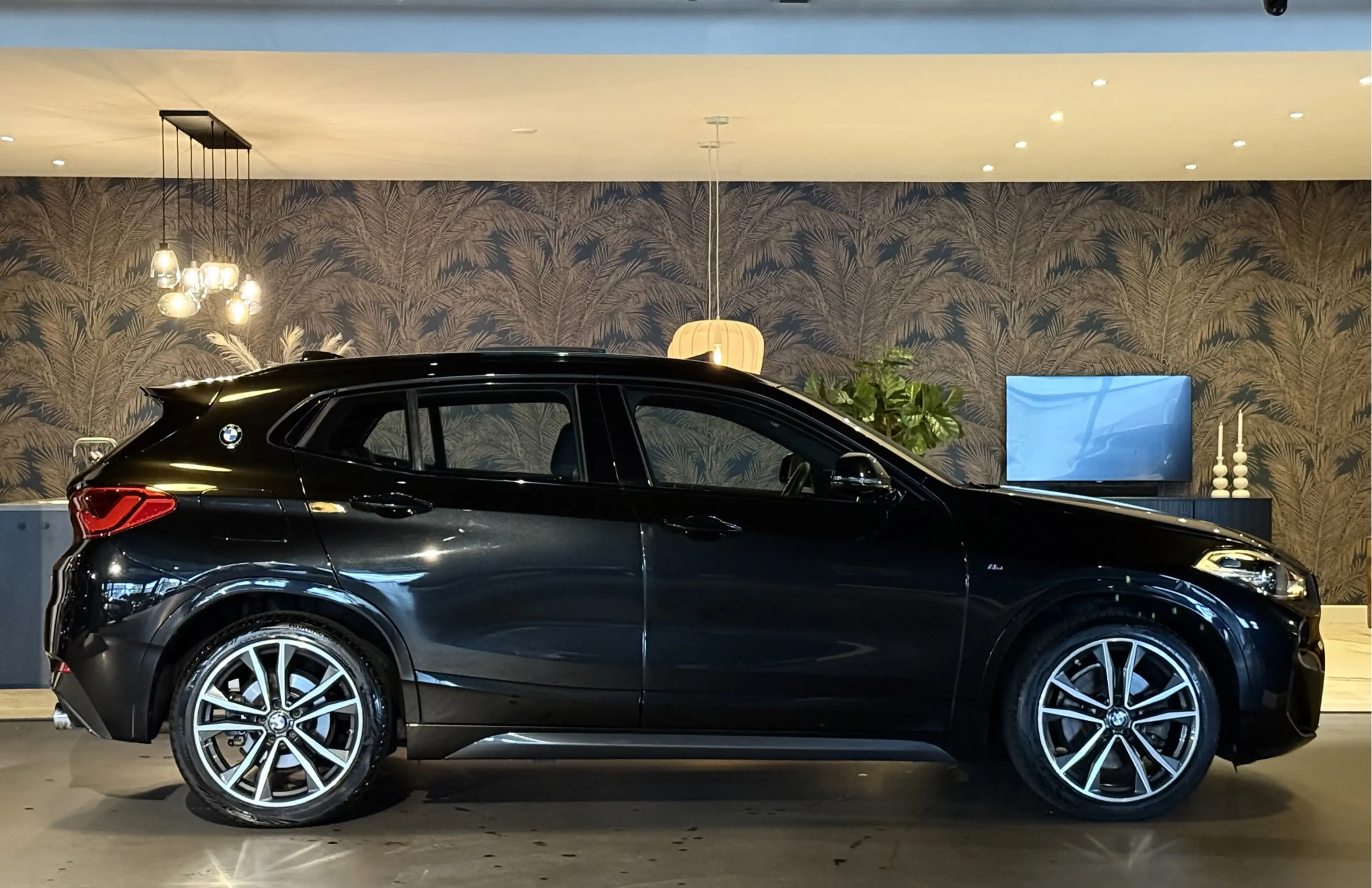 BMW X2 sDrive20i High Exe I M-Pakket I Pano — photo 6