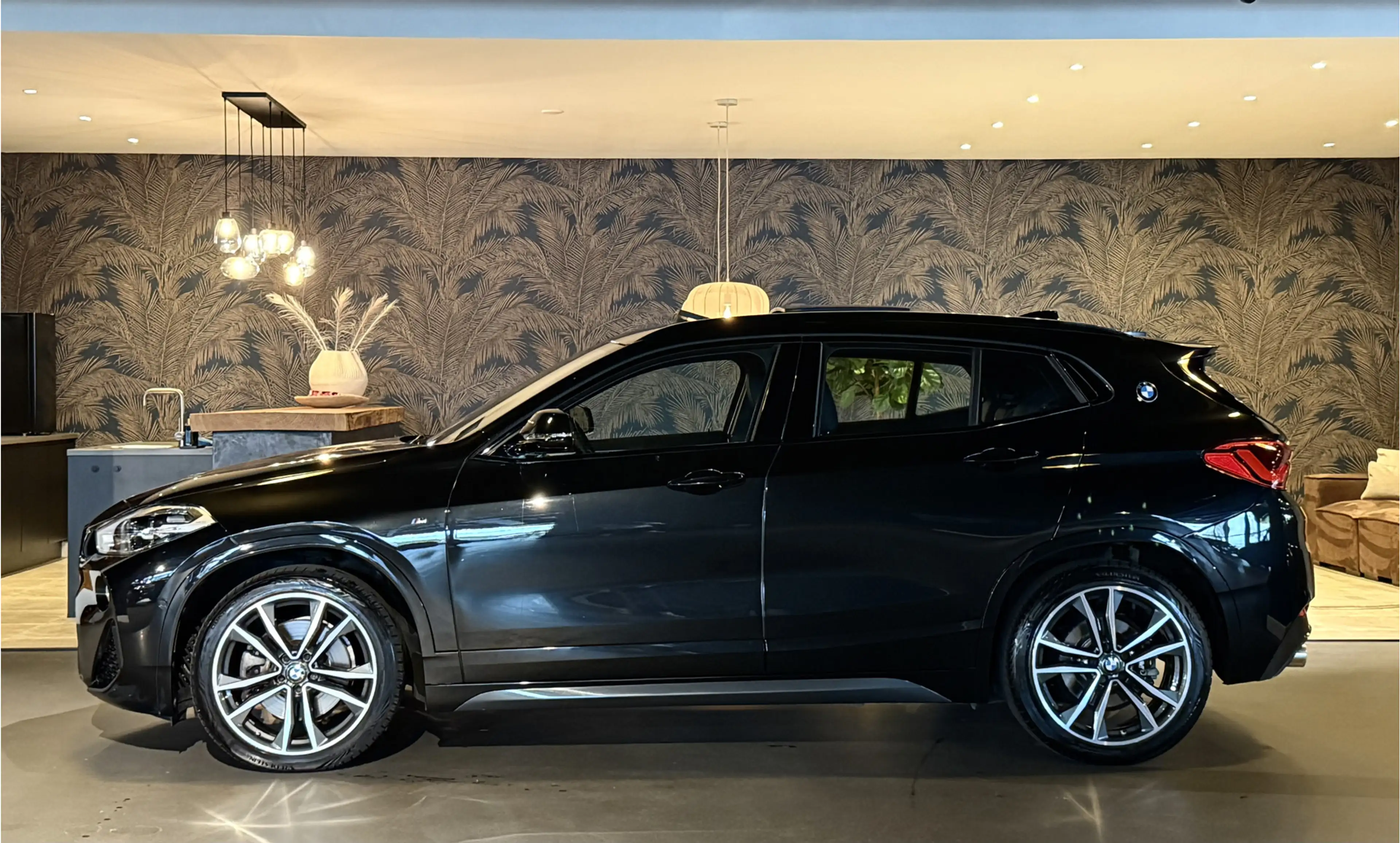 BMW X2 sDrive20i High Exe I M-Pakket I Pano — photo 2