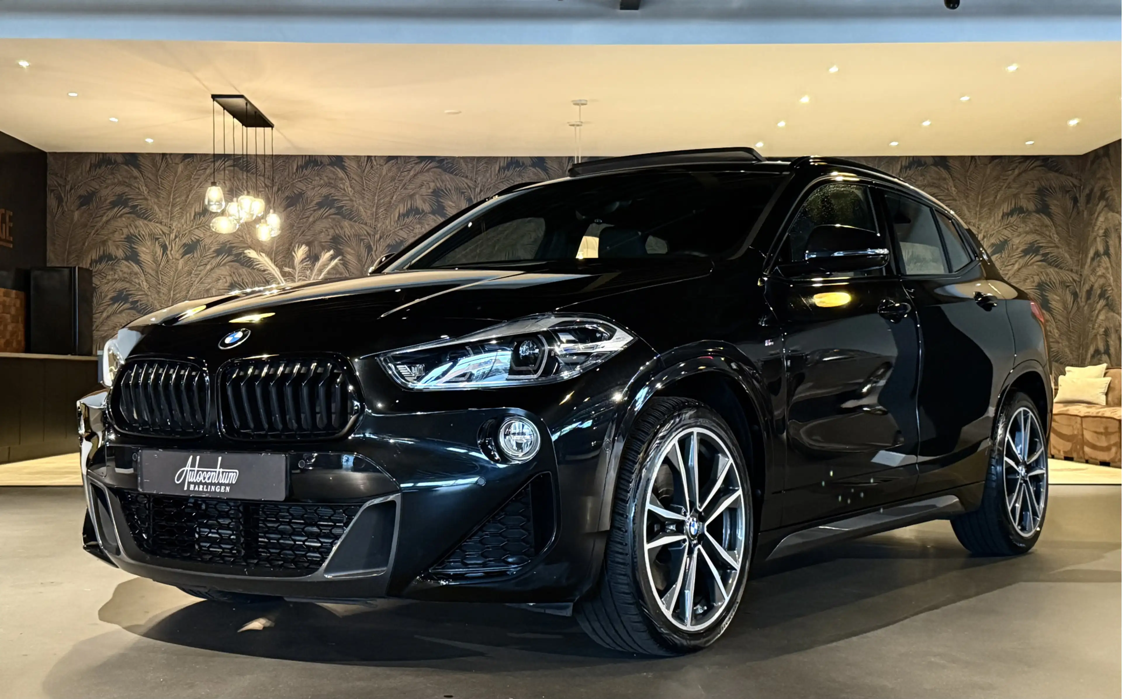 BMW X2 sDrive20i High Exe I M-Pakket I Pano — photo 20